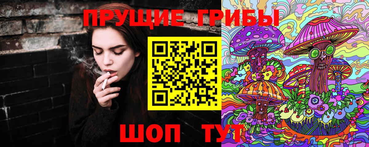 Бирск  закладки  Вход с VPN  Псилоцибиновые грибы GOLDEN TEACHER 